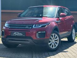 Rot Gebraucht 2016 Land Rover Range Rover evoque Pure SUV | 12.480 € (Fairer Preis)