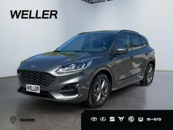 Grau Gebraucht 2024 Ford Kuga ST-Line SUV | 27.880 € (Guter Preis)