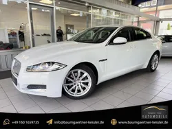 Weiss Gebraucht 2015 Jaguar XF Limousine | 12.990 € (Fairer Preis)