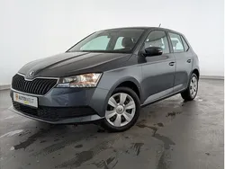 Grau Gebraucht 2019 Skoda Fabia Cool Plus Kleinwagen | 10.560 € (Guter Preis)