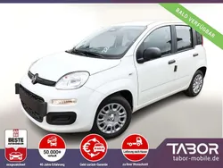 Weiß Neu 2025 Fiat Panda Kleinwagen | 13.748 € (Guter Preis)