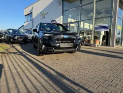 Grau Neu 2024 Subaru Forester Platinum SUV | 46.799 € (Etwas zu teuer)