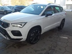 "bila" weiss Neu 2025 Cupra Ateca SUV | 33.900 € (Guter Preis)
