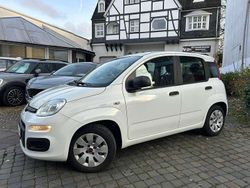 Colore esterno (weiss) Gebraucht 2016 Fiat Panda Pop Kleinwagen | 4.800 € (Etwas zu teuer)
