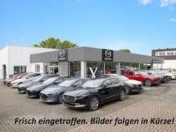 Grau Gebraucht 2019 Suzuki Swift Comfort Kleinwagen | 9.450 € (Guter Preis)