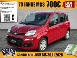 Passione rot Neu 2025 Fiat Panda Pop Kleinwagen | 14.950 € (Fairer Preis)