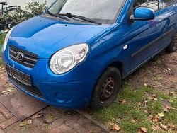 Blau Gebraucht 2010 Kia Picanto Kleinwagen | 1.850 € (Fairer Preis)