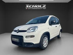 Andere Gebraucht 2024 Fiat Panda Kleinwagen | 16.900 € (Teuer)