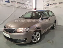 Grau Gebraucht 2017 Skoda Rapid Kombi | 10.695 € (Fairer Preis)