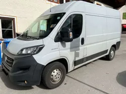 Colore esterno hellgrau pastel Gebraucht 2020 Fiat Ducato Van | 19.490 € (Fairer Preis)