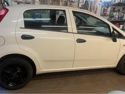 Weiß Gebraucht 2013 Fiat Punto Kleinwagen | 4.299 € (Fairer Preis)