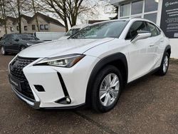 Weiss Gebraucht 2020 Lexus UX SUV | 20.490 € (Superpreis)