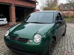 Grün Gebraucht 1999 VW Lupo Kleinwagen | 2.000 € (Etwas zu teuer)