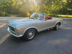 Silber Gebraucht 1964 Mercedes 230 Cabrio | 73.900 €