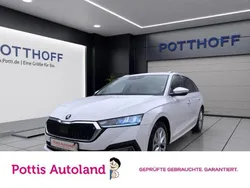 Weiss Gebraucht 2023 Skoda Octavia Style Kombi | 21.377 € (Guter Preis)