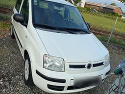 Weiß Gebraucht 2008 Fiat Panda Kleinwagen | 2.700 € (Etwas zu teuer)