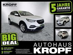 Jade weiss/arktis weiss Gebraucht 2021 Opel Grandland X Business Edition SUV | 17.960 € (Superpreis)