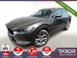 Braun Gebraucht 2020 Mazda CX-30 Selection SUV | 15.288 €