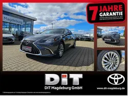 Obsidiangrau Neu 2025 Lexus ES300H Luxury Line Limousine | 54.990 € (Fairer Preis)