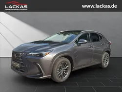 Grau Gebraucht 2024 Lexus NX350h Executive Line SUV | 53.950 € (Fairer Preis)