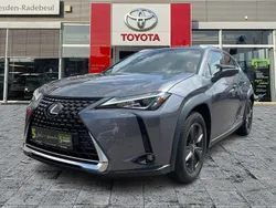 Mercury grey Gebraucht 2019 Lexus UX 250h Launch Edition SUV | 23.990 € (Fairer Preis)