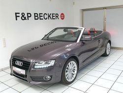 Amethystgrau Gebraucht 2010 Audi A5 Cabriolet Exclusive Cabrio | 17.950 € (Etwas zu teuer)