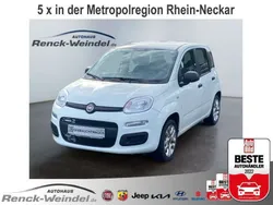 Weiss Gebraucht 2017 Fiat Panda Kleinwagen | 12.989 € (Etwas zu teuer)