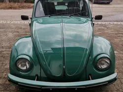 Grün Gebraucht 1984 VW Käfer | 30.000 €