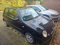 Schwarz Gebraucht 2001 VW Lupo Kleinwagen | 1.799 € (Etwas zu teuer)