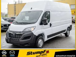 Casablancaweiß Gebraucht 2023 Opel Movano Van | 32.990 € (Etwas zu teuer)