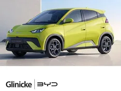 Grün Neu 2025 BYD Dolphin Boost Kleinwagen | 28.380 €
