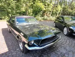 Grün Gebraucht 2025 Ford Mustang Coupé | 27.500 €