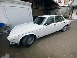 Gebraucht 1988 Jaguar XJ12 Limousine | 11.999 €