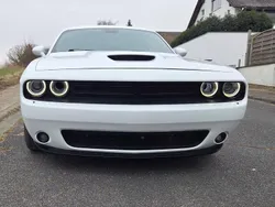 Weiß Gebraucht 2019 Dodge Challenger Coupé | 29.999 € (Superpreis)