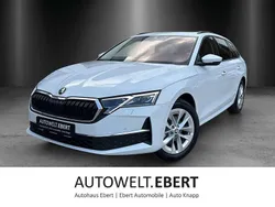 Moonweiss Gebraucht 2024 Skoda Octavia Selection Kombi | 35.890 € (Fairer Preis)