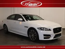 Weiß Gebraucht 2018 Jaguar XF R-Sport Limousine | 17.800 € (Superpreis)