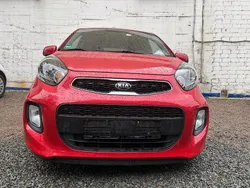 Rot Gebraucht 2015 Kia Picanto Kleinwagen | 5.599 € (Guter Preis)