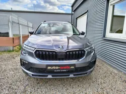 Grau Neu 2025 Skoda Kamiq Tour SUV | 34.450 € (Teuer)