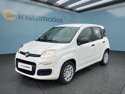 Weiß Neu 2025 Fiat Panda Kleinwagen | 16.499 € (Etwas zu teuer)
