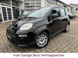 Schwarz Gebraucht 2023 Fiat Panda Kleinwagen | 10.970 € (Guter Preis)