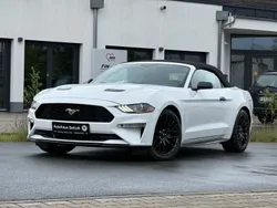 Weiß Gebraucht 2019 Ford Mustang Cabrio | 24.990 € (Superpreis)