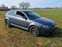 Grau Gebraucht 2003 Audi A3 Kleinwagen | 1.200 € (Guter Preis)