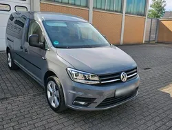 Grau Gebraucht 2017 VW Caddy Maxi Van / Kleinbus | 16.999 € (Teuer)