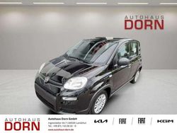 Schwarz Gebraucht 2025 Fiat Panda Kleinwagen | 13.990 € (Fairer Preis)