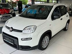 Weiß Neu 2025 Fiat Panda Kleinwagen | 14.990 € (Fairer Preis)
