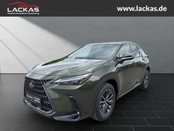 Grün Neu 2025 Lexus NX350h Executive Line SUV | 54.950 € (Fairer Preis)