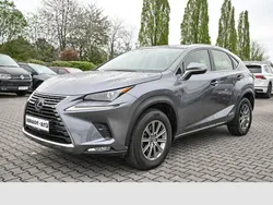 Grau Gebraucht 2021 Lexus NX300h SUV | 30.650 € (Guter Preis)