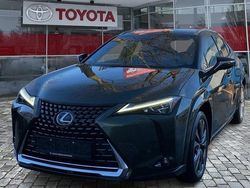 Grün Gebraucht 2023 Lexus UX 250h Luxury Line SUV | 32.990 € (Teuer)