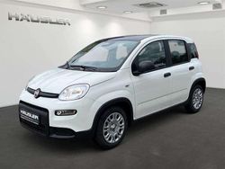 Gelato weiß Neu 2024 Fiat Panda Kleinwagen | 14.990 € (Fairer Preis)