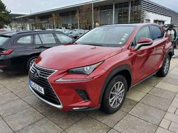 Rot Gebraucht 2021 Lexus NX300h SUV | 23.990 € (Teuer)